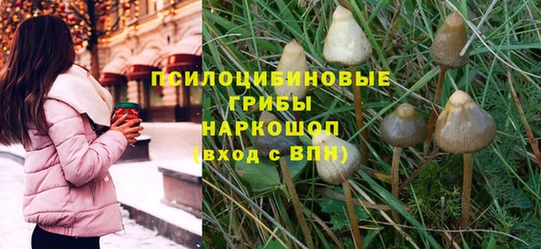 бошки Армянск