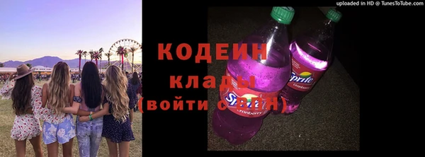 ПСИЛОЦИБИНОВЫЕ ГРИБЫ Арсеньев