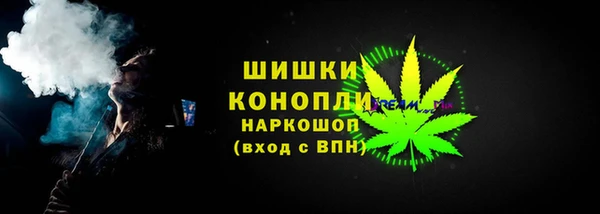 ПСИЛОЦИБИНОВЫЕ ГРИБЫ Арсеньев