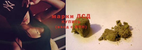 spice Аркадак