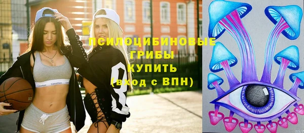 ПСИЛОЦИБИНОВЫЕ ГРИБЫ Арсеньев