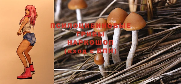 ПСИЛОЦИБИНОВЫЕ ГРИБЫ Арсеньев