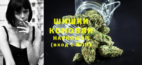 ПСИЛОЦИБИНОВЫЕ ГРИБЫ Арсеньев